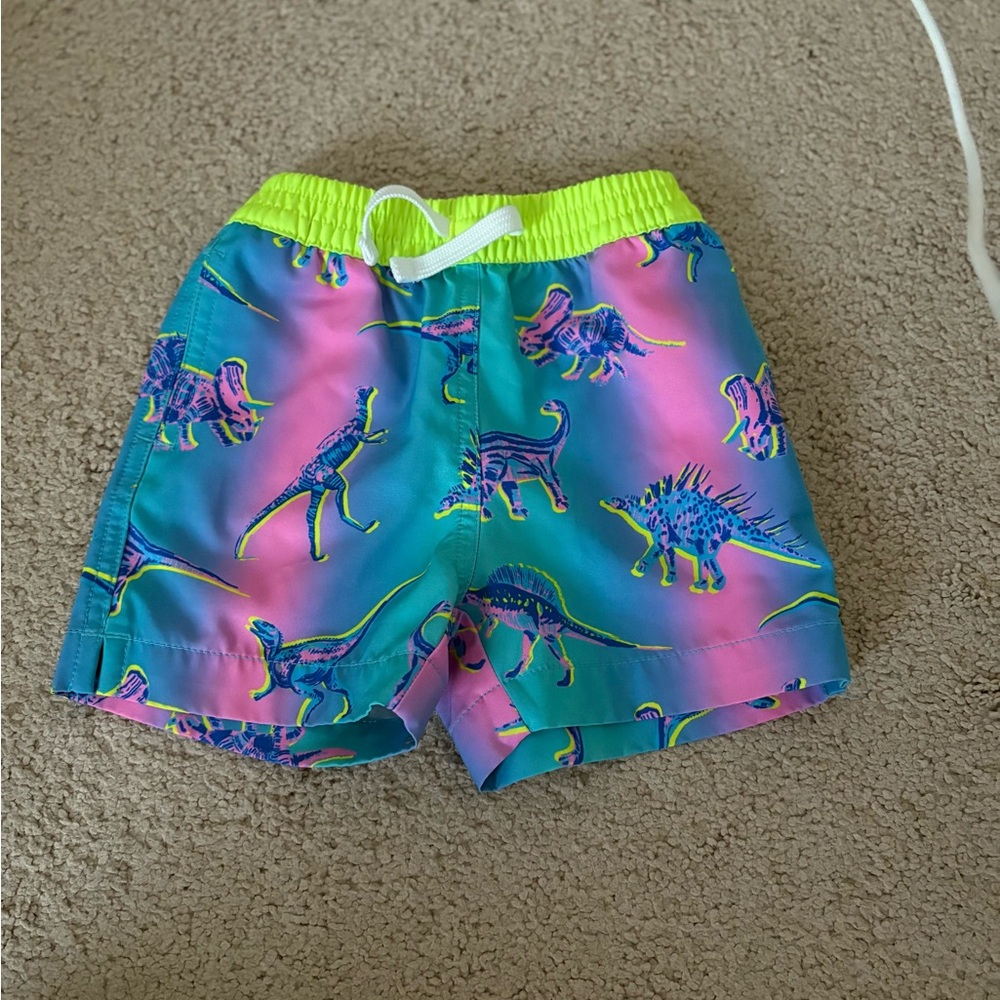 Chubbies Pink and Blue Dinosaur Print Shorts